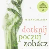 Dotknij poczuj zobacz fenomen relacji człowieka z naturą