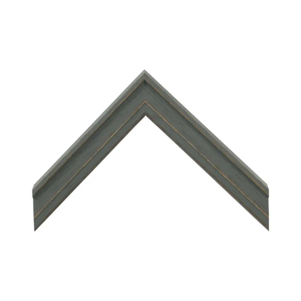 Ilustracja Aksamitki - Kolekcja Werandy