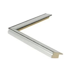 Ilustracja Dzika róża - Kolekcja Werandy