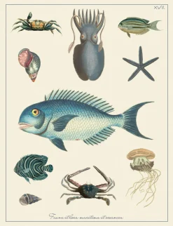 Ilustracja kompozycja morska - styl Hampton - Kolekcja Werandy
