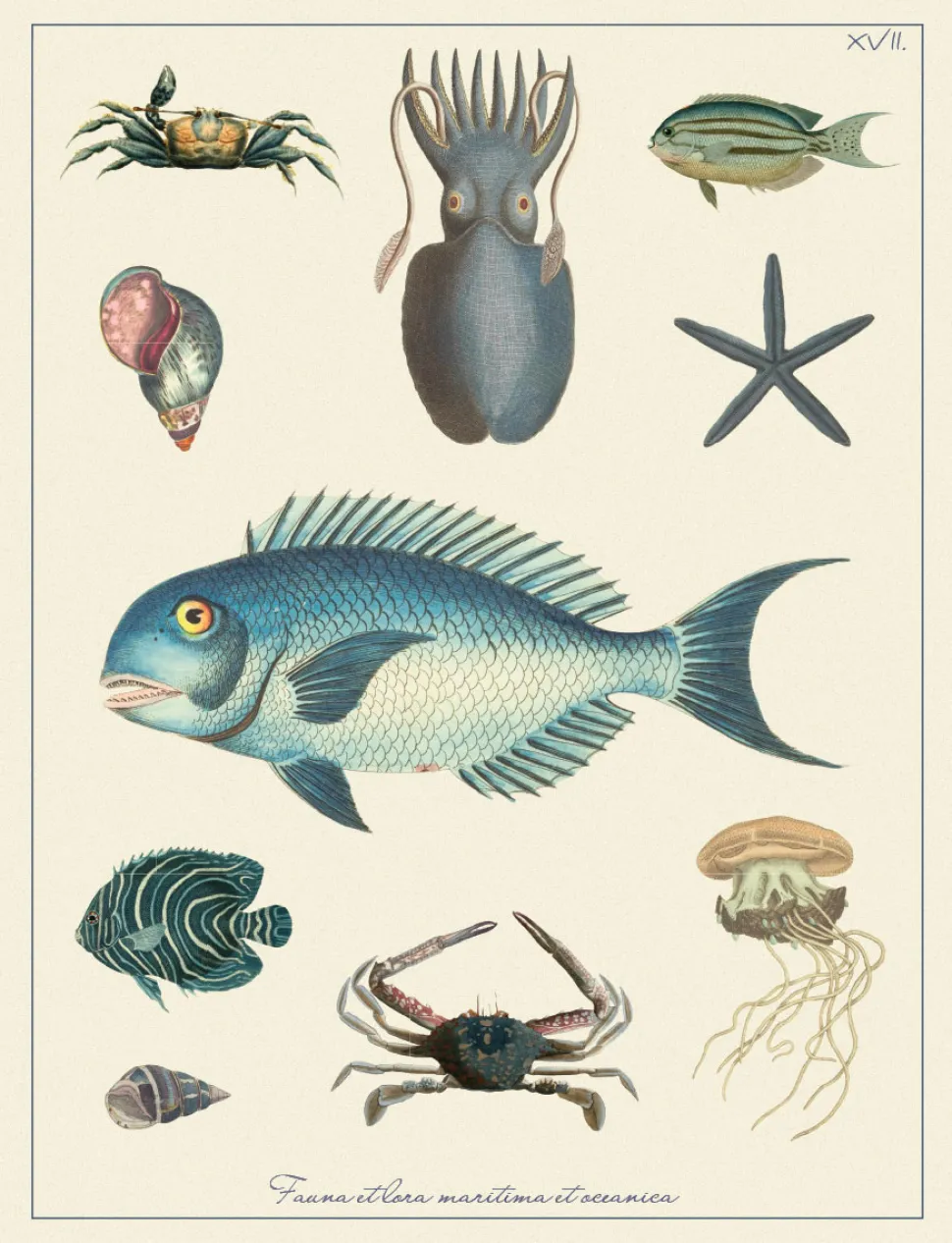Ilustracja kompozycja morska - styl Hampton - Kolekcja Werandy