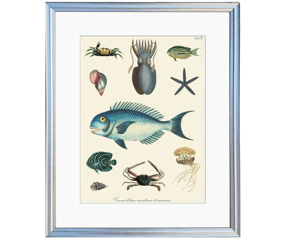 Ilustracja kompozycja morska - styl Hampton - Kolekcja Werandy