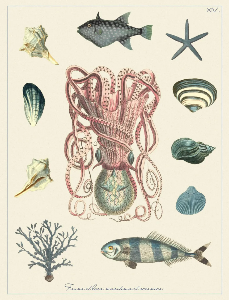 Ilustracja kompozycja morska - styl Hampton - Kolekcja Werandy