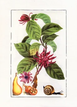 Ilustracja kompozycja ze ślimakiem