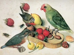 Ilustracja tropikalna martwa natura