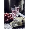 Kieliszki do szampana prosecco 6 sztuk Ananas