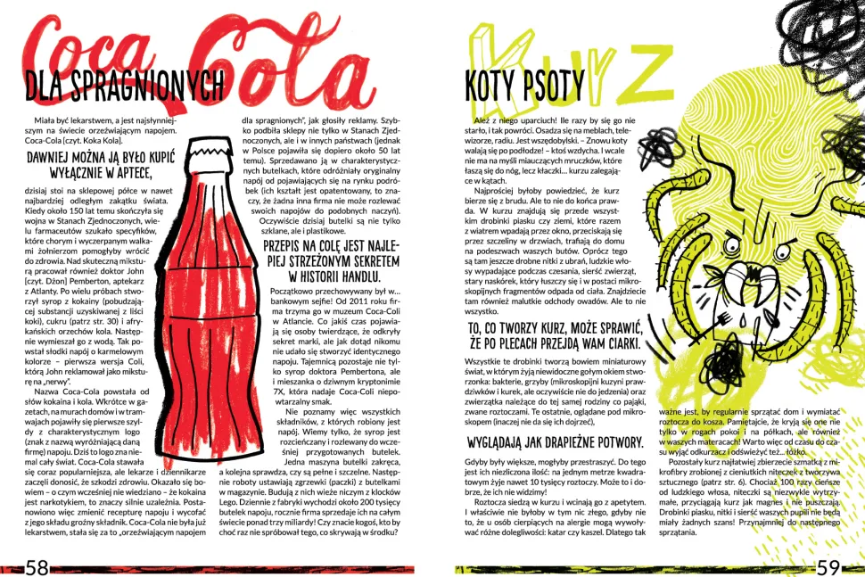 KRÓTKA HISTORIA RZECZY