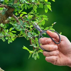 Nożyce ogrodowe do kwiatów bonsai