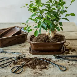 Nożyce ogrodowe do kwiatów bonsai