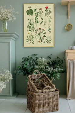 Plakat A3 Polne kwiaty polskie