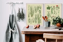 Plakat A3 Polne kwiaty polskie