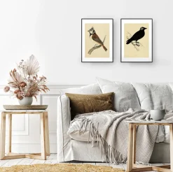 Plakat Czubatka