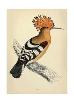Plakat Dudek