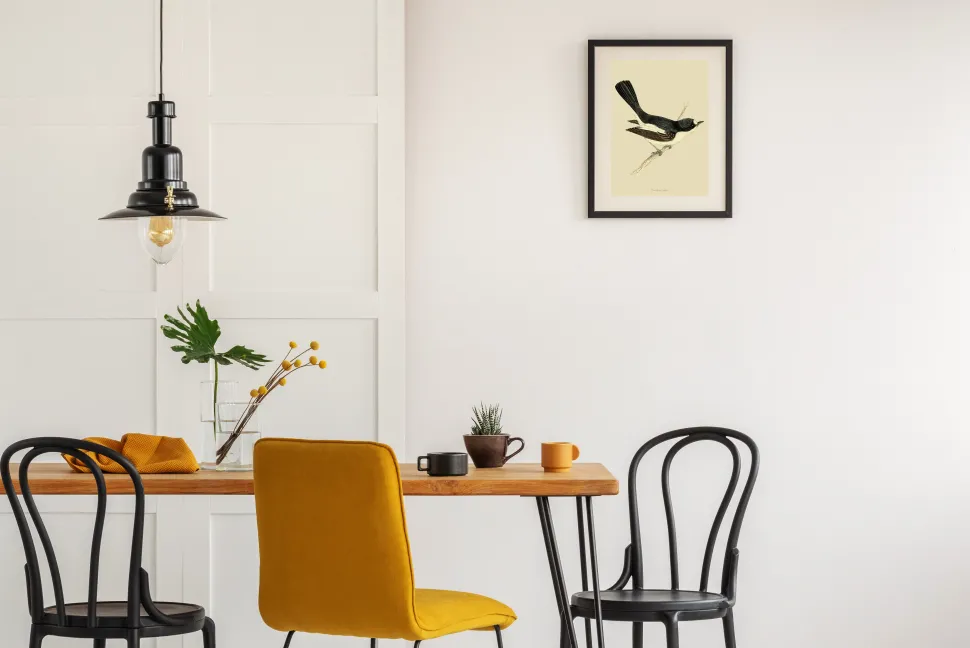 Plakat Muchołówka żałobna