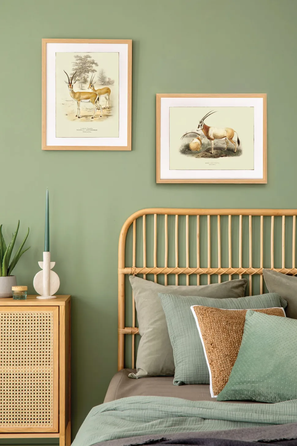 Plakat retro antylopy