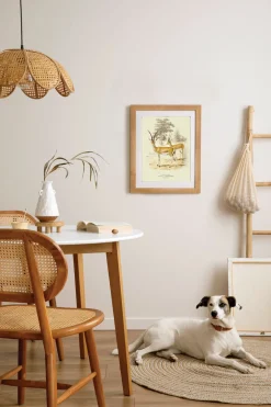 Plakat retro antylopy