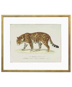 Plakat retro jaguar