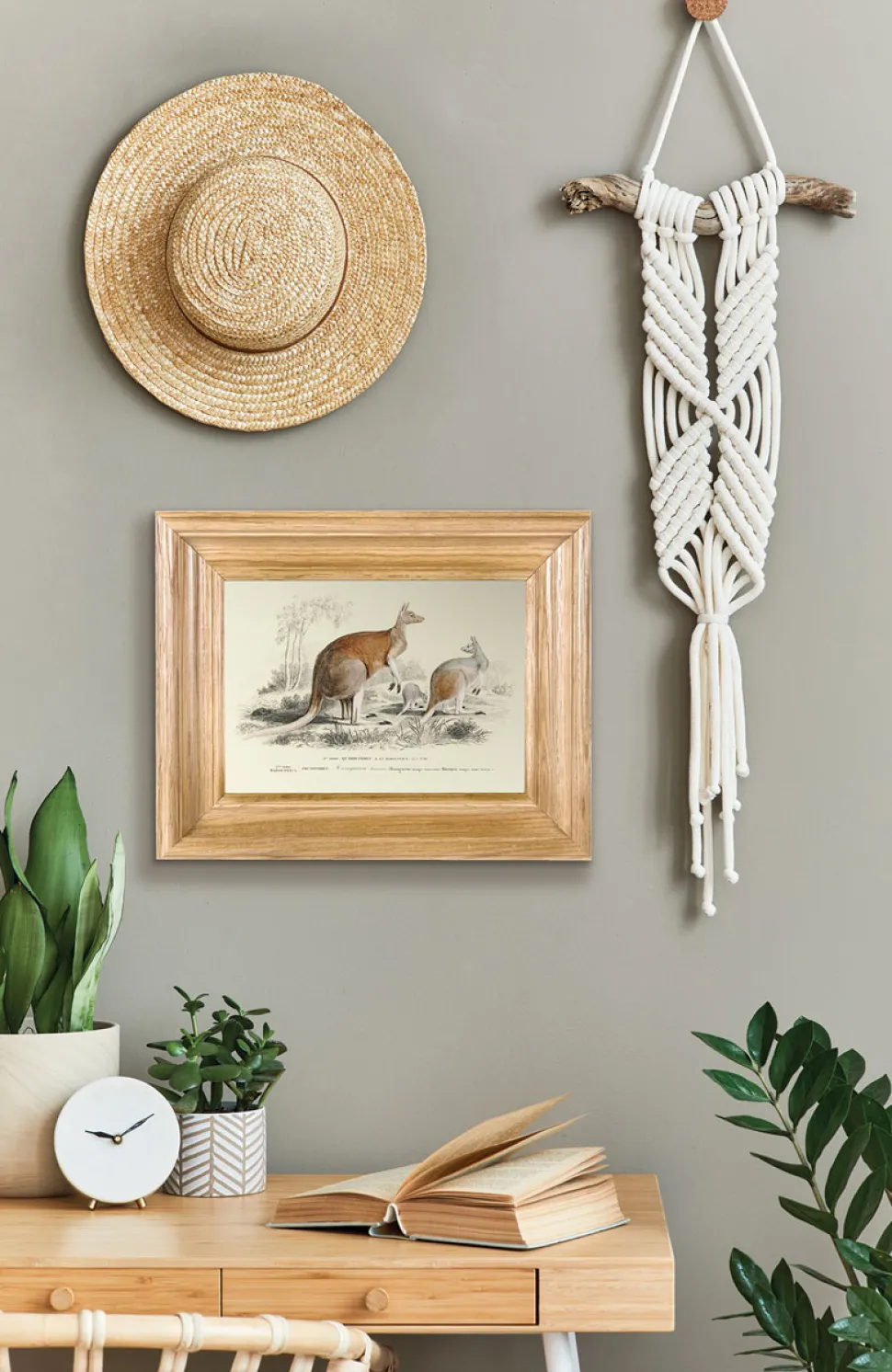Plakat retro kangury