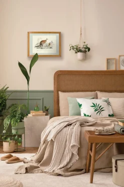 Plakat retro kangury