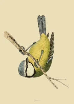 Plakat Sikorka
