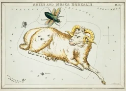 Plakat znaki zodiaku retro - Baran