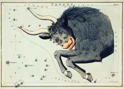 Plakat znaki zodiaku retro - Byk