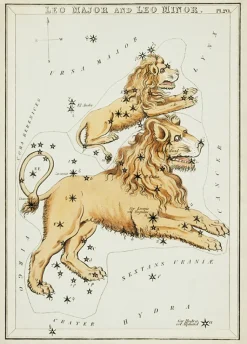 Plakat znaki zodiaku retro - Lew