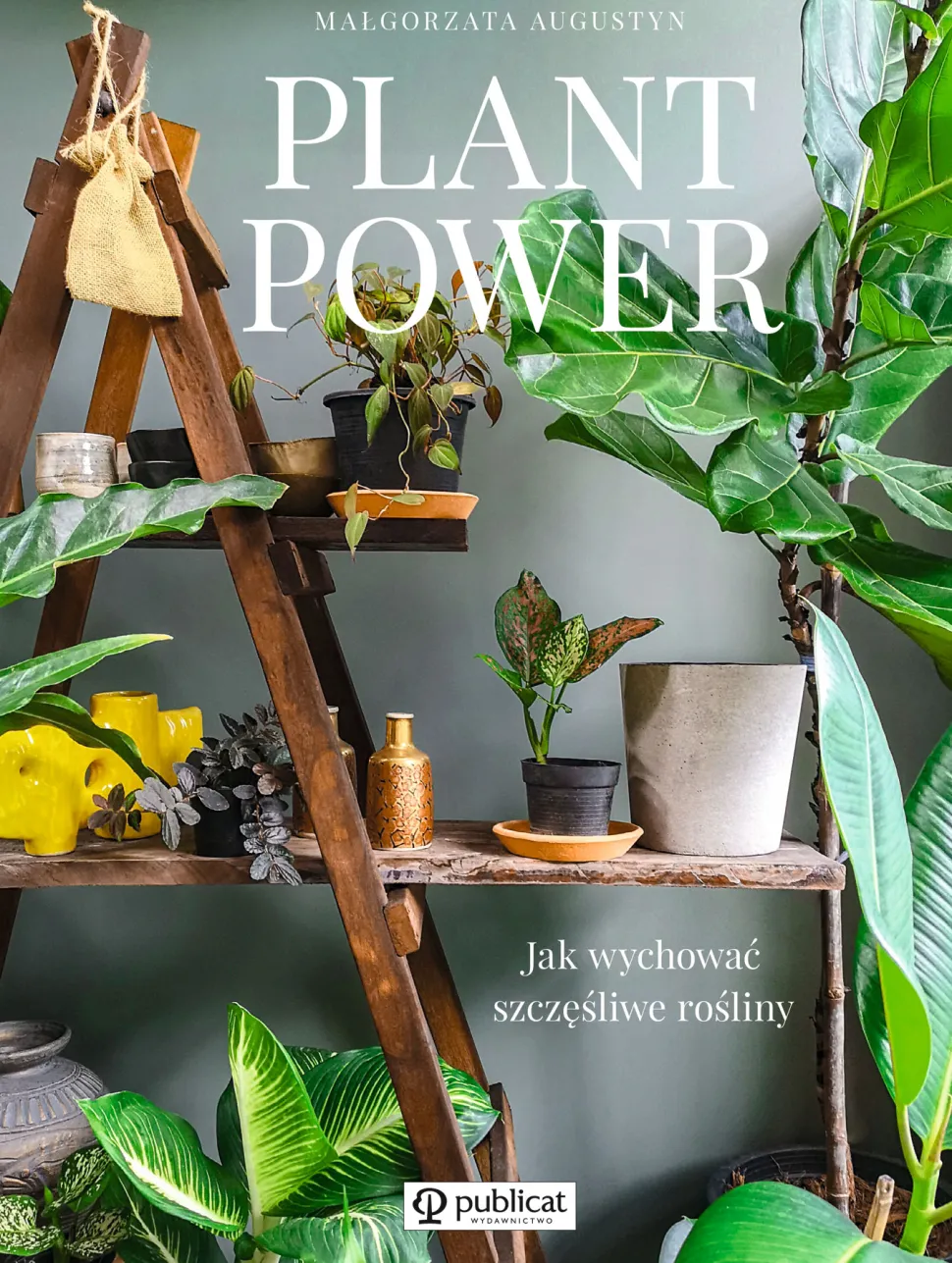 Plant power jak wychować szczęśliwe rośliny