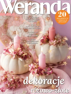 Weranda 11/2021